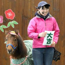 新春特別ポニーショー