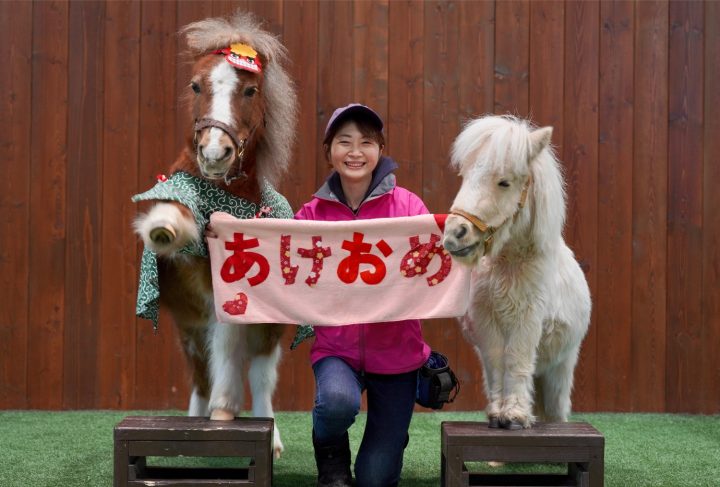 新春特別ポニーショー