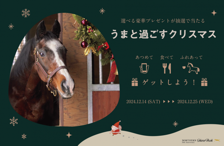 うまと過ごすクリスマス