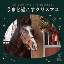 うまと過ごすクリスマス